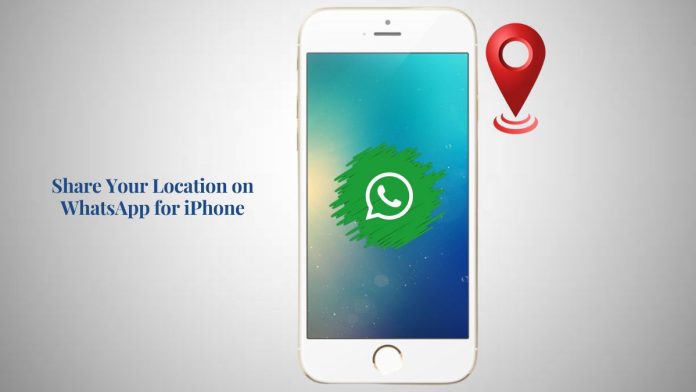 How to Share Your Location on WhatsApp for iPhone How to Share Your Location on WhatsApp for iPhone