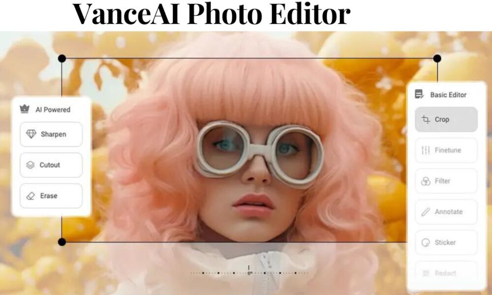 VanceAI Photo Editor Unleashing the Artistic Potential of Your Images