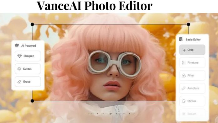 VanceAI Photo Editor Unleashing the Artistic Potential of Your Images VanceAI Photo Editor Unleashing the Artistic Potential of Your Images