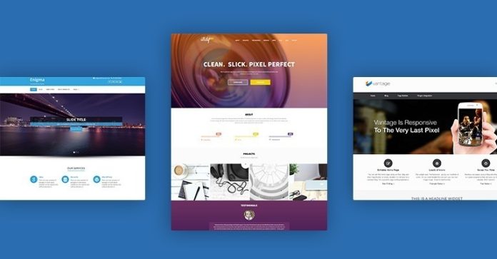 WordPress Website