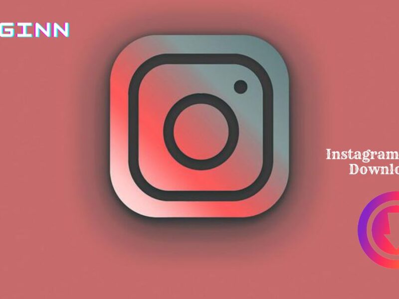 Imginn Instagram Stories Viewer and Video Downloader