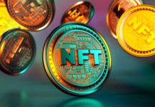 Step Into the Future of Digital Ownership with the Crypto NFT Zone