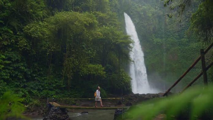 Best Waterfalls in Bali for Nature Lovers